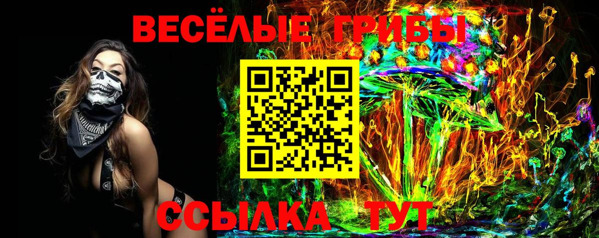Аша  Псилоцибиновые грибы мухоморы  Вход с VPN  цены наркотик  Галлюциногенные грибы мицелий 
